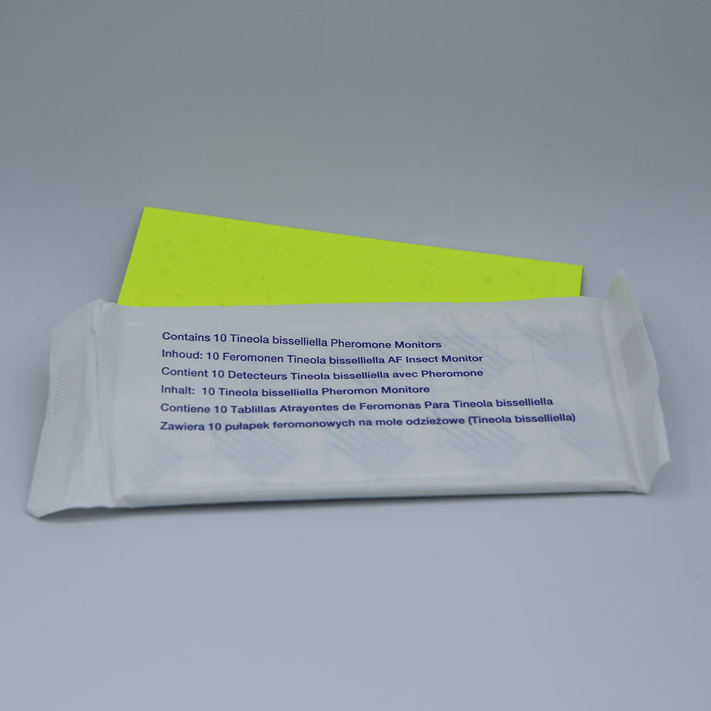 Pièges collants rectangulaires phéromone Mite vestimentaire pour dispositif AF DIAMOND (paquet de 10)