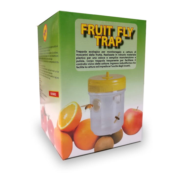 Piège pour mouches à fruits Fruit Fly (par 3)